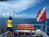 Great day of scuba diving in Key Largo with Rainbow Reef on french reef tropical odyssey 2020 09 28 r10112 1