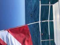 Great day of scuba diving in Key Largo with Rainbow Reef on french reef tropical serenity 2020 09 01 r9996 1