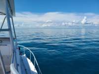 Great day of scuba diving in Key Largo with Rainbow Reef on french reef tropical serenity 2020 09 30 r10132 1