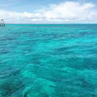 Great day of scuba diving in Key Largo with Rainbow Reef on hole in the wall tropical serenity 2020 09 09 r10038 1