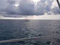 Great day of scuba diving in Key Largo with Rainbow Reef on hole in the wall tropical serenity 2020 09 28 r10107 1
