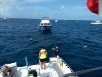 Great day of scuba diving in Key Largo with Rainbow Reef on hole in the wall tropical voyager 2020 09 05 r10020 1