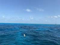 Great day of scuba diving in Key Largo with Rainbow Reef on molasses reef santana 2020 09 03 r10009 1