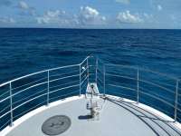 Great day of scuba diving in Key Largo with Rainbow Reef on pillar coral tropical odyssey 2020 09 16 r10061 1