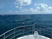 Great day of scuba diving in Key Largo with Rainbow Reef on sand island tropical odyssey 2020 09 17 r10064 1