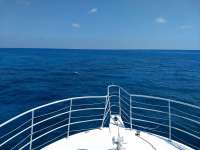 Great day of scuba diving in Key Largo with Rainbow Reef on snapper ledge tropical legend 2020 09 20 r10088 1