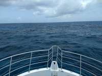 Great day of scuba diving in Key Largo with Rainbow Reef on snapper ledge tropical odyssey 2020 09 04 r10015 1
