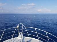 Great day of scuba diving in Key Largo with Rainbow Reef on spiegel grove tropical adventure 2020 09 27 r10097 1
