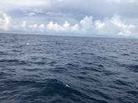 Great day of scuba diving in Key Largo with Rainbow Reef on spiegel grove tropical destiny 2020 09 14 r10053 1