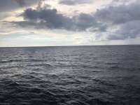 Great day of scuba diving in Key Largo with Rainbow Reef on spiegel grove tropical destiny 2020 09 28 r10106 1