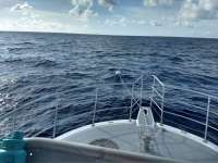 Great day of scuba diving in Key Largo with Rainbow Reef on spiegel grove tropical odyssey 2020 09 17 r10063 1