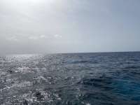 Great day of scuba diving in Key Largo with Rainbow Reef on uscgc duane tropical voyager 2020 09 04 r10014 1
