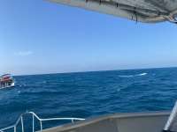 Great day of scuba diving in Key Largo with Rainbow Reef on benwood wreck santana 2021 04 11 r10891 1