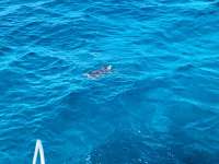 Great day of scuba diving in Key Largo with Rainbow Reef on benwood wreck tropical adventure 2021 04 13 r10903 1