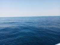 Great day of scuba diving in Key Largo with Rainbow Reef on benwood wreck tropical legend 2021 04 16 r10931 1