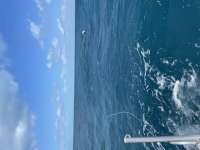 Great day of scuba diving in Key Largo with Rainbow Reef on benwood wreck tropical legend 2021 04 28 r11027 1