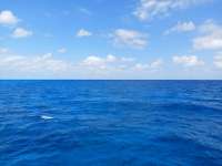 Great day of scuba diving in Key Largo with Rainbow Reef on benwood wreck tropical serenity 2021 04 05 r10876 1