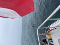 Great day of scuba diving in Key Largo with Rainbow Reef on christ statue tropical serenity 2021 04 21 r10978 1