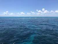 Great day of scuba diving in Key Largo with Rainbow Reef on christ statue tropical serenity 2021 04 30 r11041 1