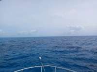 Great day of scuba diving in Key Largo with Rainbow Reef on christmastree cave tropical destiny 2021 04 01 r10870 1