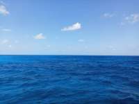 Great day of scuba diving in Key Largo with Rainbow Reef on city of washington tropical odyssey 2021 04 27 r11023 1