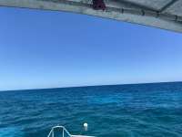 Great day of scuba diving in Key Largo with Rainbow Reef on conch ledge santana 2021 04 13 r10902 1