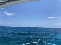 Great day of scuba diving in Key Largo with Rainbow Reef on conch ledge santana 2021 04 15 r10926 1