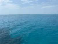 Great day of scuba diving in Key Largo with Rainbow Reef on conch ledge santana 2021 04 22 r10985 1