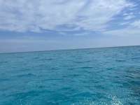 Great day of scuba diving in Key Largo with Rainbow Reef on drift molasses tropical explorer 2021 04 18 r10950 1