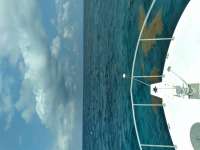 Great day of scuba diving in Key Largo with Rainbow Reef on eagle ray alley tropical destiny 2021 04 23 r10992 1