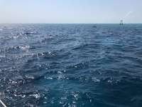 Great day of scuba diving in Key Largo with Rainbow Reef on eagle ray alley tropical destiny 2021 04 25 r11003 1