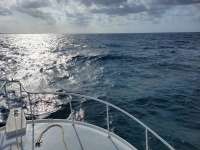 Great day of scuba diving in Key Largo with Rainbow Reef on fire coral cave santana 2021 04 28 r11024 1