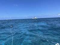 Great day of scuba diving in Key Largo with Rainbow Reef on fire coral cave tropical explorer 2021 04 30 r11040 1