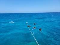 Great day of scuba diving in Key Largo with Rainbow Reef on french reef santana 2021 04 14 r10917 1
