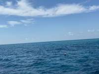 Great day of scuba diving in Key Largo with Rainbow Reef on french reef santana 2021 04 18 r10955 1