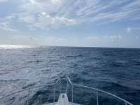 Great day of scuba diving in Key Largo with Rainbow Reef on french reef santana 2021 04 24 r10995 1