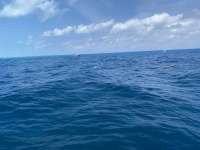 Great day of scuba diving in Key Largo with Rainbow Reef on french reef tropical legend 2021 04 10 r10890 1