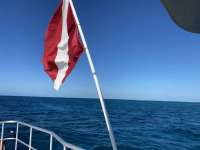 Great day of scuba diving in Key Largo with Rainbow Reef on french twist santana 2021 04 13 r10897 1