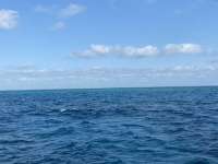 Great day of scuba diving in Key Largo with Rainbow Reef on french twist santana 2021 04 17 r10935 1