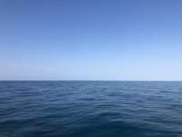 Great day of scuba diving in Key Largo with Rainbow Reef on french twist tropical serenity 2021 04 16 r10929 1