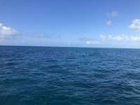 Great day of scuba diving in Key Largo with Rainbow Reef on french twist tropical serenity 2021 04 30 r11035 1
