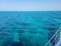 Great day of scuba diving in Key Largo with Rainbow Reef on hole in the wall tropical legend 2021 04 26 r11011 1