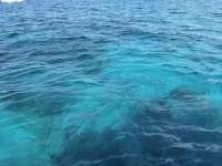 Great day of scuba diving in Key Largo with Rainbow Reef on hole in the wall tropical serenity 2021 04 15 r10922 1