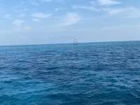 Great day of scuba diving in Key Largo with Rainbow Reef on molasses reef santana 2021 04 18 r10949 1