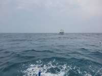 Great day of scuba diving in Key Largo with Rainbow Reef on molasses reef tropical adventure 2021 04 20 r10971 1