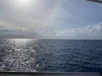 Great day of scuba diving in Key Largo with Rainbow Reef on molasses reef tropical legend 2021 04 01 r10865 1