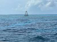 Great day of scuba diving in Key Largo with Rainbow Reef on molasses reef tropical legend 2021 04 01 r10872 1
