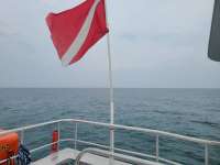 Great day of scuba diving in Key Largo with Rainbow Reef on molasses reef tropical legend 2021 04 21 r10980 1