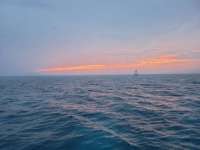 Great day of scuba diving in Key Largo with Rainbow Reef on molasses reef tropical serenity 2021 04 20 r10975 1