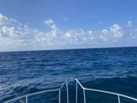 Great day of scuba diving in Key Largo with Rainbow Reef on molasses reef tropical serenity 2021 04 29 r11033 1